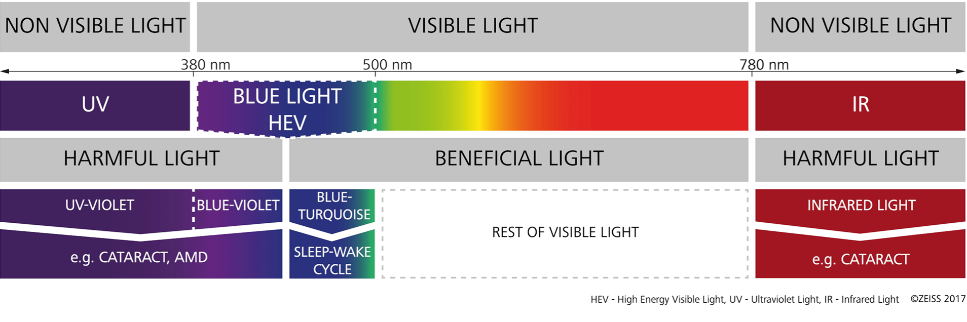 The visible spectrum