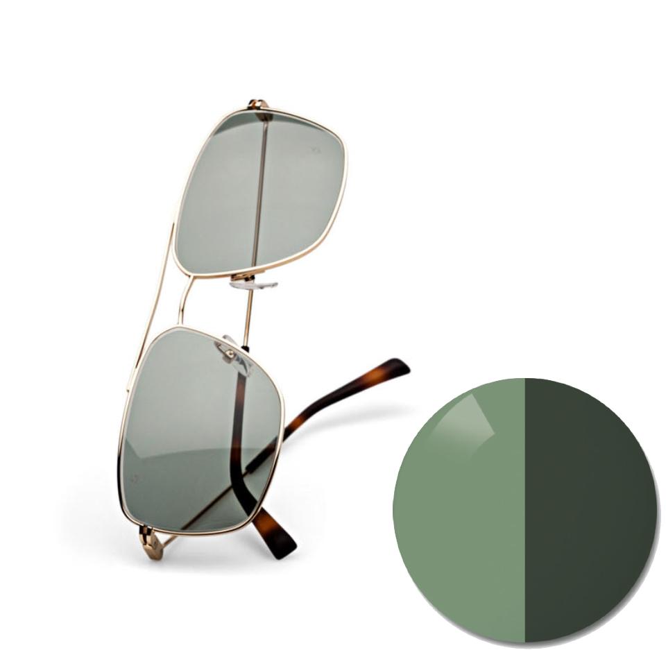 ZEISS Sunglass lenses Your perfect companion in the sun